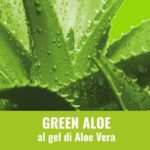 ecolavo green aloe